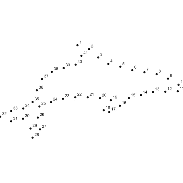 Dolphin dot to dot printable puzzle