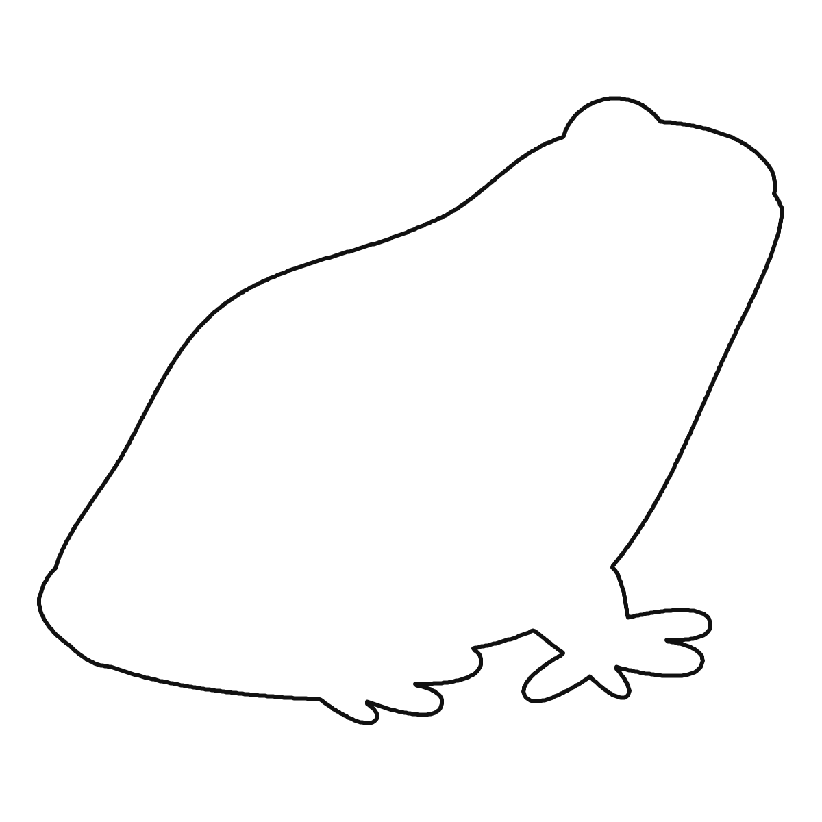 Frog solved outline