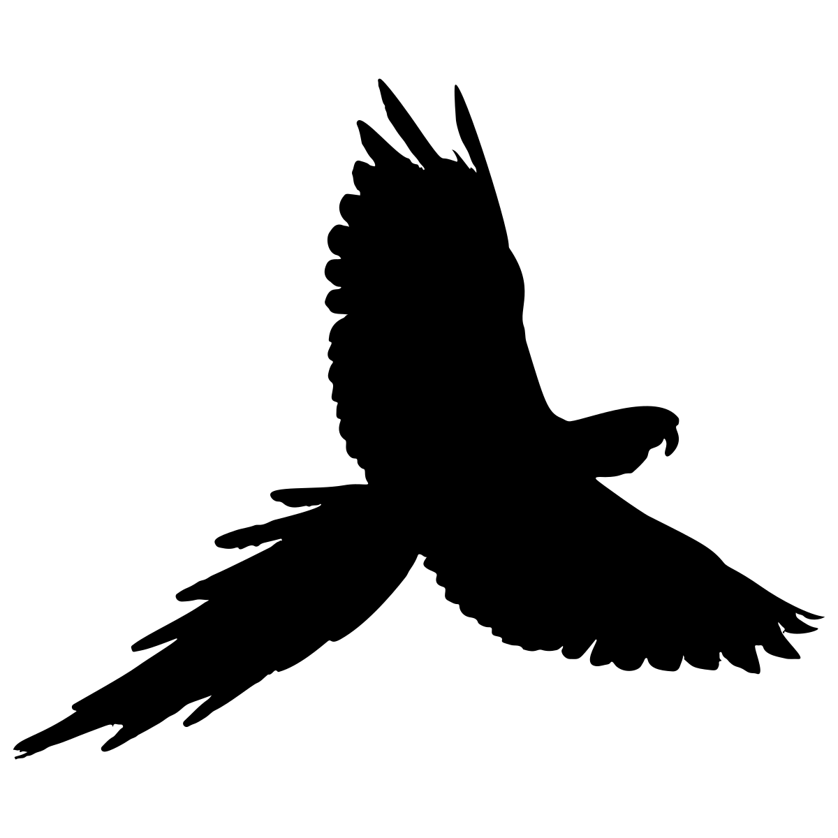 Parrot Silhouette dot to dot printable puzzle
