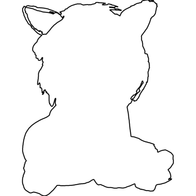 Pet Photo Example solved outline