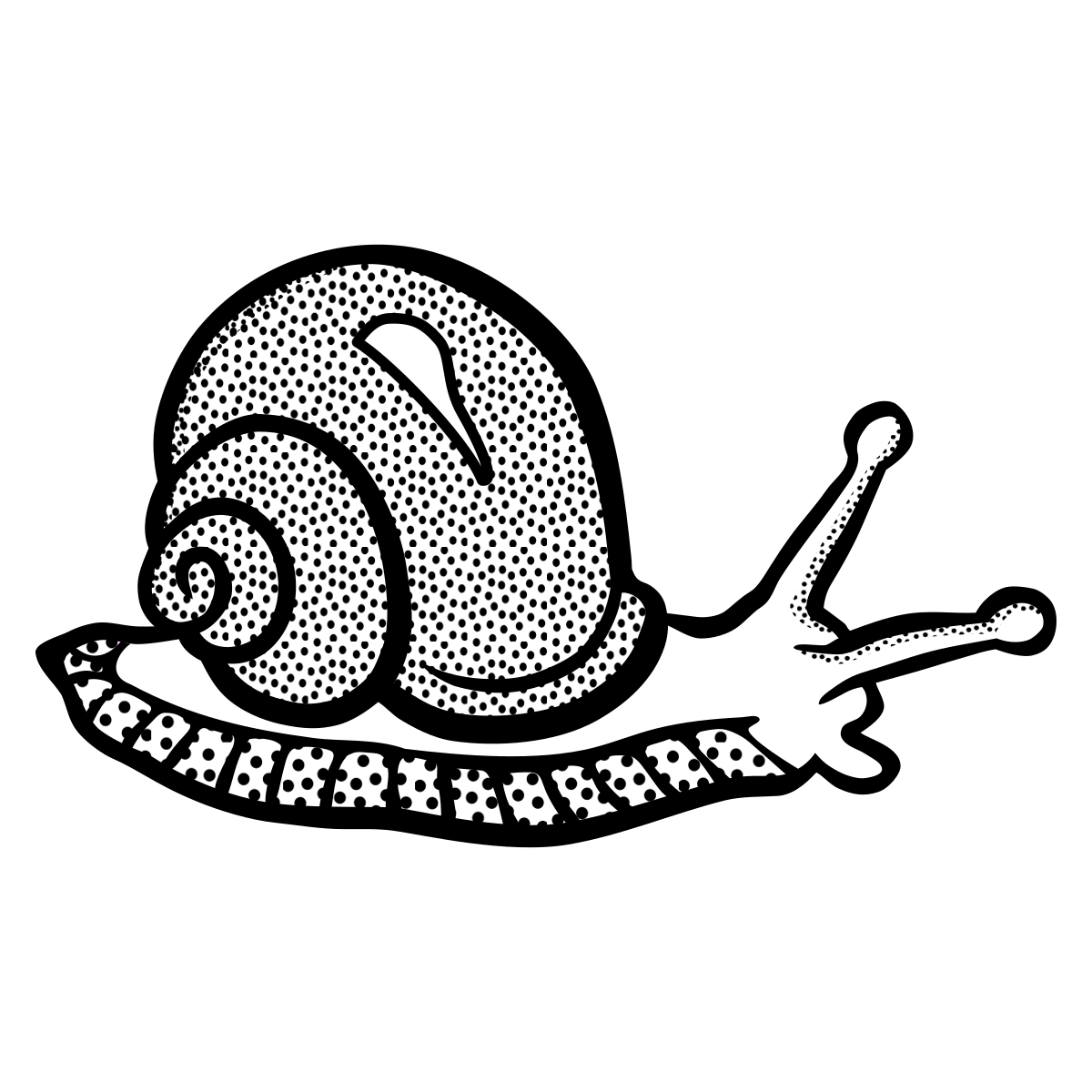 Snail Lineart dot to dot printable puzzle