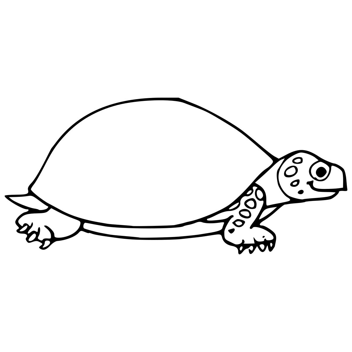Turtle Side Outline dot to dot printable puzzle